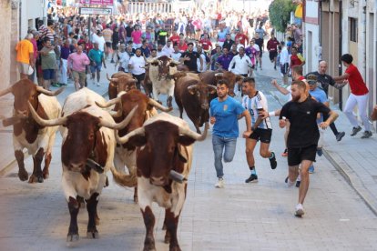 Segundo encierro de las fiestas de Peñafiel.