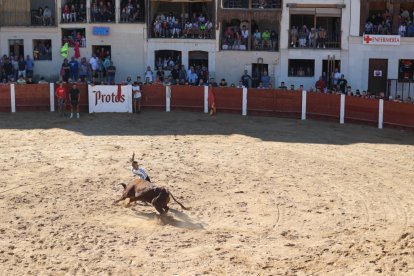 Segundo encierro de las fiestas de Peñafiel.