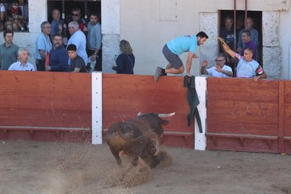 Segundo encierro de las fiestas de Peñafiel.