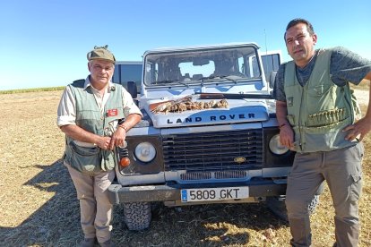 Apertura de la media veda de caza en Castilla y León.