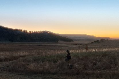 Apertura de la media veda de caza en Castilla y León.