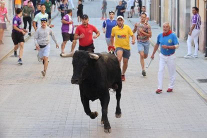 Encierro de Peñafiel