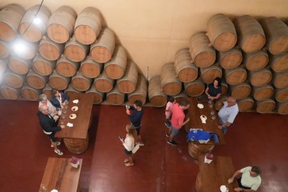 Visita guiada a los viñedos y bodega de Yllera, en Rueda