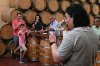 Visita guiada a los viñedos y bodega de Yllera, en Rueda