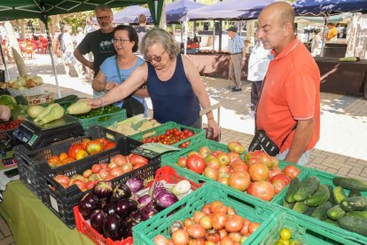 Feria del Tomate 2024 en Tudela de Duero.