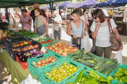 Feria del Tomate 2024 en Tudela de Duero.