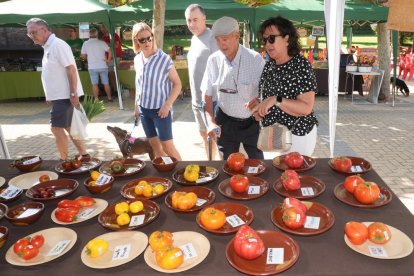 Feria del Tomate 2024 en Tudela de Duero.