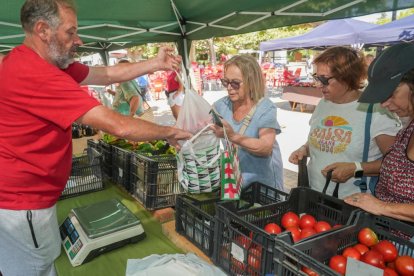 Feria del Tomate 2024 en Tudela de Duero.