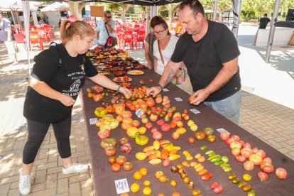 Feria del Tomate 2024 en Tudela de Duero.