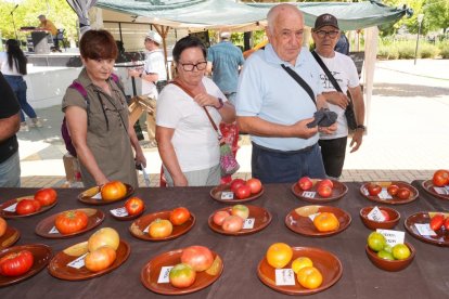 Feria del Tomate 2024 en Tudela de Duero.