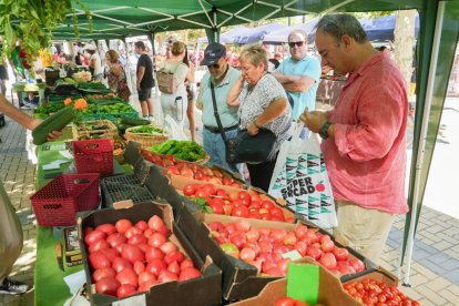 Feria del Tomate 2024 en Tudela de Duero.