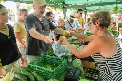 Feria del Tomate 2024 en Tudela de Duero.