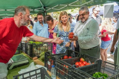 Feria del Tomate 2024 en Tudela de Duero.