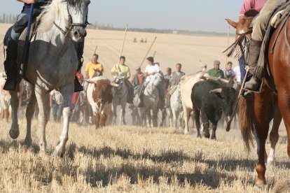 Encierro Tradicional al estilo de la Villa