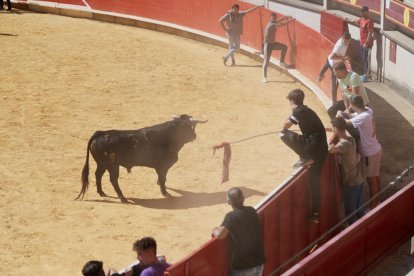 Encierro urbano del domingo 8 de septiembre en Laguna de Duero.