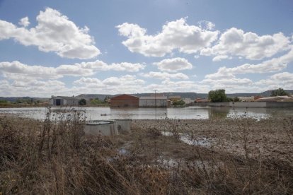 Un reventón en el canal de riego de Riaza inunda Valbuena de Duero.