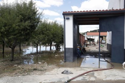 Un reventón en el canal de riego de Riaza inunda Valbuena de Duero.