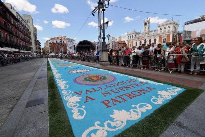 Alfombra floral de la procesión de Nuestra Señora de San Lorenzo en la plaza Mayor