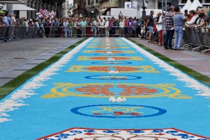 Alfombra floral de la procesión de Nuestra Señora de San Lorenzo en la plaza Mayor