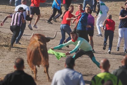 Toro de la Vega en Tordesillas