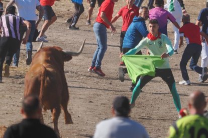 Toro de la Vega en Tordesillas