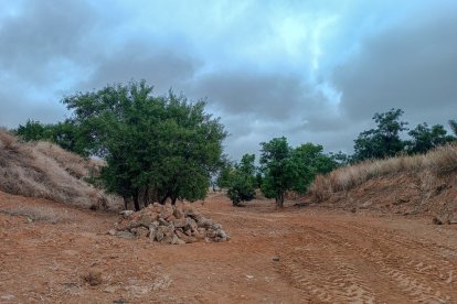 Obras en la reserva biológica-urbana El Tomillo