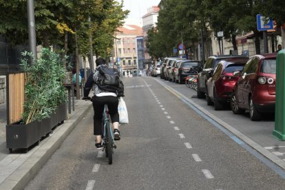 Calle Duque de la Victoria en el Día Sin Coche