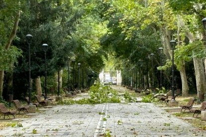 Cierre del parque Campo Grande como precaución por el paso del huracán 'Kirk'