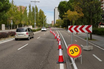 Corte de un carril en la Avenida de Salamanca por las obras de la red de calor