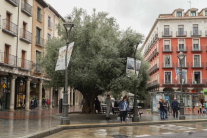 Imagen de la plaza de Fuente Dorada en la actualidad.