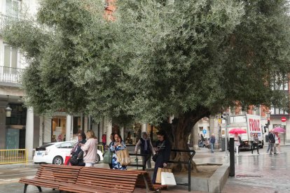 Viandantes paseando por la plaza de Fuente Dorada en la actualidad.