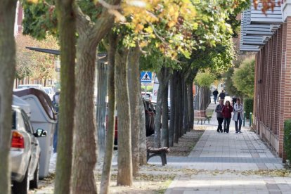 Imagen de un paseo en la calle Miguel Delibes