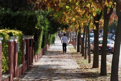 Imagen de la calle Miguel Delibes