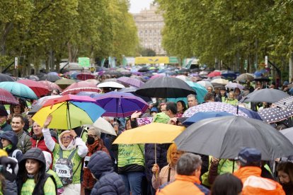 Celebración de la XIII Valladolid en Marcha contra el Cáncer.