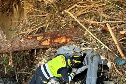 Bomberos de Valladolid en la DANA de Valencia.