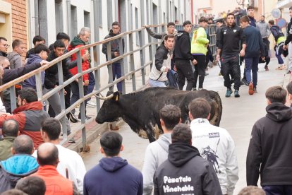 Encierro de la Fiesta de la Salchicha de Zaratán.