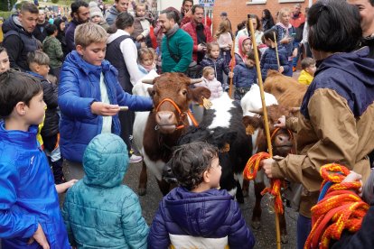 Encierro de la Fiesta de la Salchicha de Zaratán.