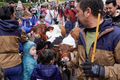 Encierro de la Fiesta de la Salchicha de Zaratán.