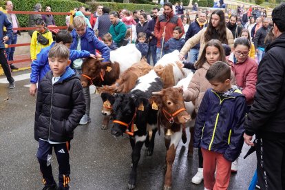 Encierro de la Fiesta de la Salchicha de Zaratán.