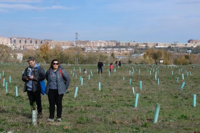 Plantación en el bosque urbano de Santa Ana