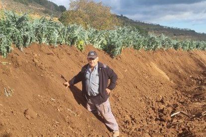 Pedro Sevillano junto a unos cardos de su finca, en Valverde, que le superan en altura