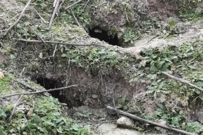 Huras de conejos en el término municipal de Villaldemiro (Burgos)