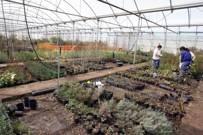 Vivero Forestal Central y Centro de Recursos Ambientales de la Junta en Valladolid