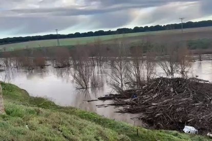 Río Adaja, desbordado a su paso por Valdestillas en Valladolid