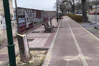 Varios ejemplados talados en Valladolid

Valladolid Toma la Palabra ha denunciado la continua tala de árboles que el Ayuntamiento está ejecutando en las últimas semanas en el corazón de la ciudad que está diezmando notablemente de árboles la zona urbana, donde más lo necesitan las personas para su bienestar.

CASTILLA Y LEÓN ESPAÑA EUROPA VALLADOLID SOCIEDAD
VTLP