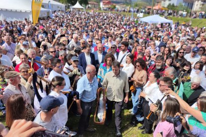 El 'campanu' de 2024, antes de ser subastado en Cornellana.