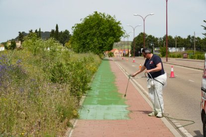 Carril bici de Zaratán