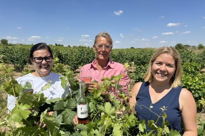 Bea, Jessica y Laura, en una viña en vaso del Sombrío inscrita en la DO Cigales.