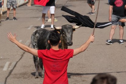 Encierro en La Cistérniga (Valladolid).