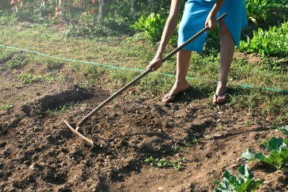 Una mujer trabaja el campo.